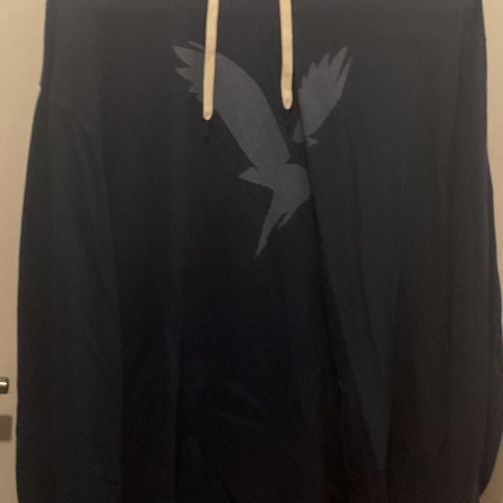 American Eagle Outfitters Navy Blue Hoodie